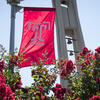Spring Flowers with Temple T flag and Bell Tower in background